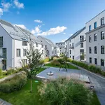 Modern Cozy With Free Parking In Trendy Paupys Lägenhet *